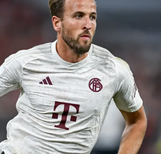 平台的评论 平台的评论