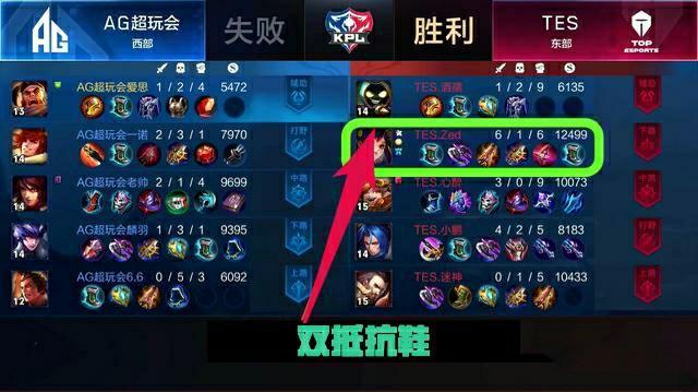 义及展望 义及展望